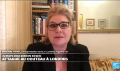 Royaume-Uni : plusieurs blessés dans une attaque à l'épée à Londres, un homme arrêté