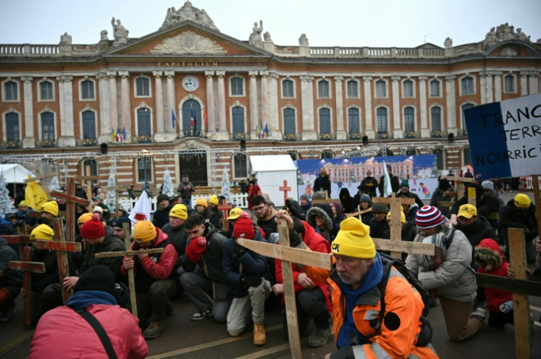 Manifestation à l'appel de l'intersyndicale agricole de Haute-Garonne pour protester contre la gestion de la dermatose bovine par le gouvernement, le 3 janvier 2025 à Toulouse   ( AFP / Matthieu RONDEL )