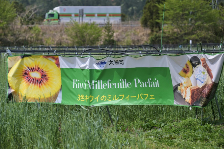 Une banderole avec l'image d'un kiwi (g), dans un champ de l'entreprise ReFruits, à quelques kilomètres de la centrale nucléaire sinistrée de Fukushima, le 24 avril 2025 à Okuma, au Japon ( AFP / Richard A. Brooks )