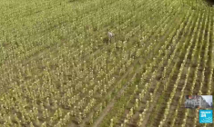 Ukraine : des agriculteurs peinent à écouler leur stock malgré l'accord sur les céréales