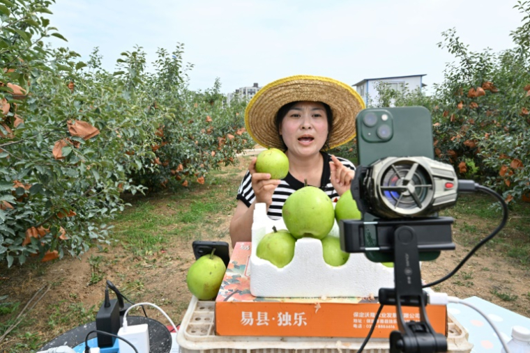Une participante à un camp pratique de livestream pour les "néo-paysans" fait une présentation commerciale dans un verger à Yantai, dans la province orientale du Shandong, le 26 juin 2025 en Chine ( AFP / Adek BERRY )