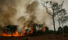 Un feu de forêt à Autazes dans l'Etat d'Amazonas, dans le nord du Brésil, le 9 octobre 2026 ( AFP / MICHAEL DANTAS )