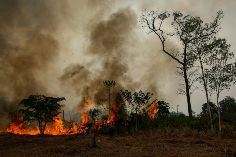 Un feu de forêt à Autazes dans l'Etat d'Amazonas, dans le nord du Brésil, le 9 octobre 2026 ( AFP / MICHAEL DANTAS )