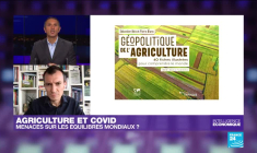 Agriculture et Covid-19 : menaces sur les équilibres mondiaux ?