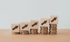 (Crédits photo:  © Ratana 21 - stock.adobe.com)