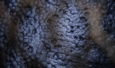 ( AFP / CHRISTOPHE ARCHAMBAULT )