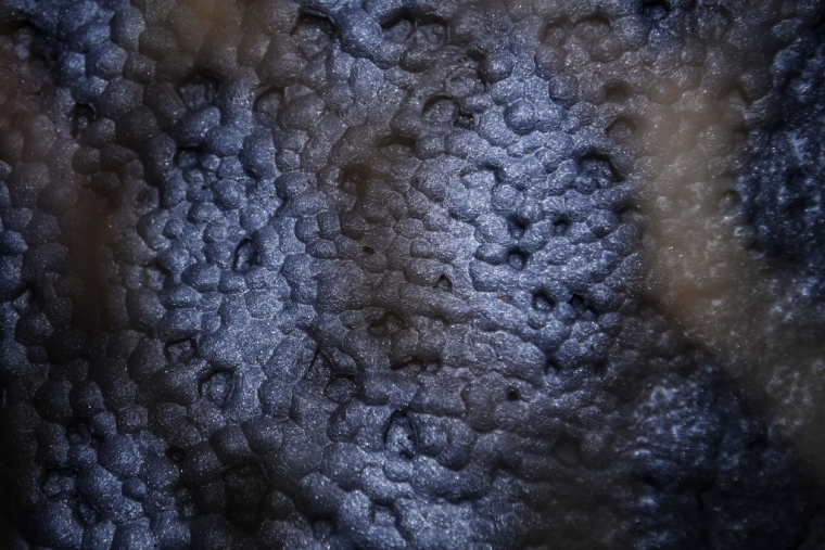 ( AFP / CHRISTOPHE ARCHAMBAULT )