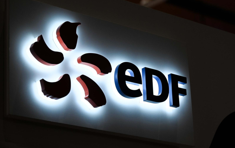 Les actionnaires déplorent la chute du cours en Bourse d'EDF. ( AFP / DENIS CHARLET )