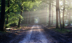 (Pixabay / bertvthul)