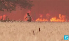 Incendies en Europe : l'Espagne se bat contre les flammes et la canicule