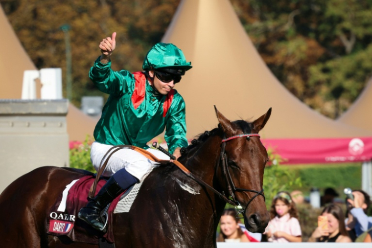 Mickaël Barzalona sur le pur-sang français Daryz remporte le Prix de l'Arc de Triomphe pour la deuxième année d'affilée, le 4 octobre 2026 sur l'hippodrome de Longchamp, à Paris ( AFP / MEHDI FEDOUACH )