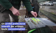 Streetfishing : mobilisation de pêcheurs pour préserver la pêche à Paris