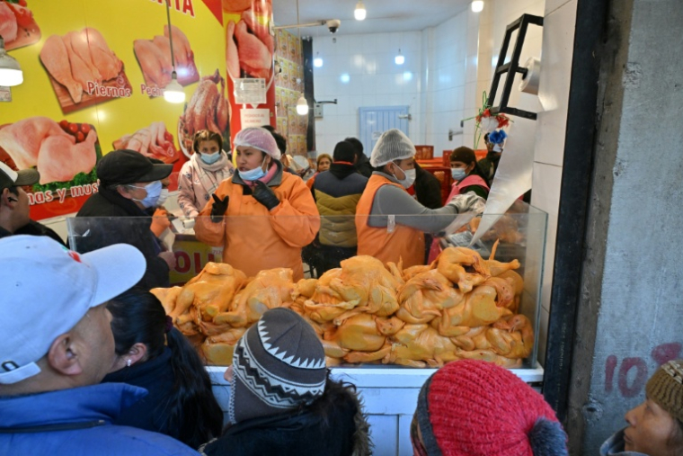Des habitants font la queue tôt le matin pour acheter du poulet à prix de gros, le 11 juin 2025 à La Paz, en Bolivie ( AFP / AIZAR RALDES )