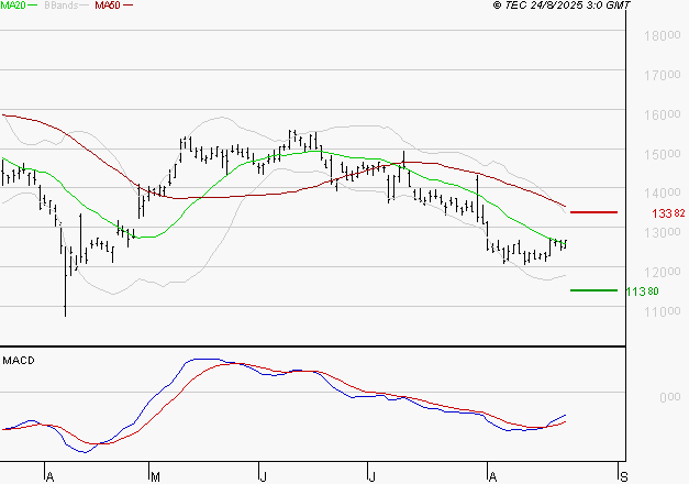 CAPGEMINI : Attendre un test du support