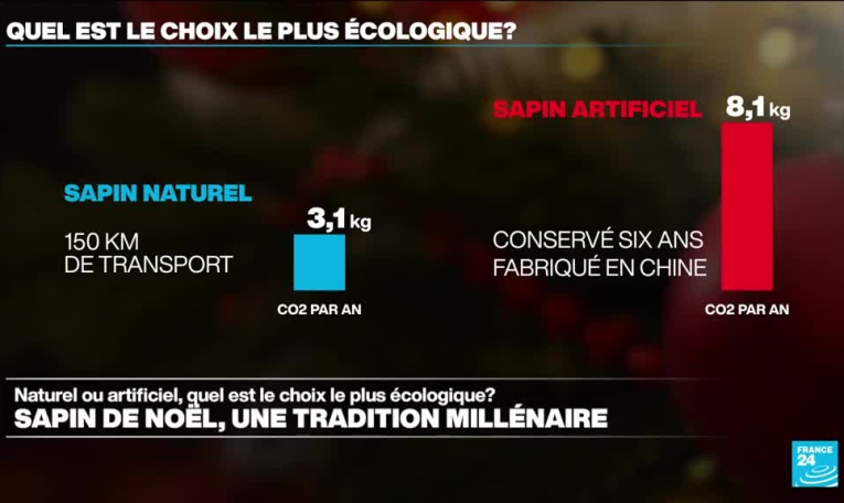 Sapin naturel vs sapin artificiel... Le match du bilan carbone