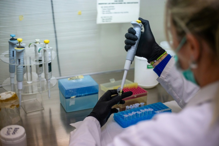 Une technicienne de laboratoire exécute un processus d'extraction d'ADN au Laboratoire de génétique de l'Université de Cordoba, en Argentine, le 13 mai 2026 ( AFP / Diego Lima )
