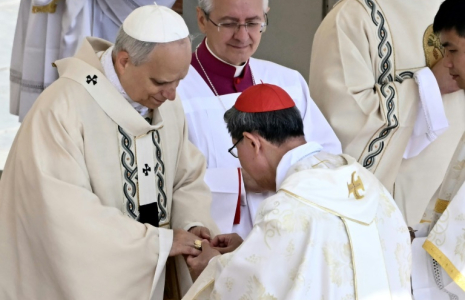 Le cardinal philippin Luis Antonio Gokim Tagle remet l'anneau du pêcheur au doigt du pape Léon XIV lors d'une messe pour le début de son pontificat, sur la place Saint-Pierre au Vatican, le 18 mai 2025. ( AFP / Filippo MONTEFORTE )