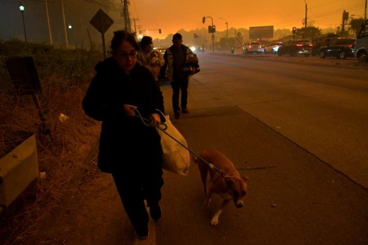 Des habitants fuient l'avancée du feu à Concepcion, au Chili, le 18 janvier 2026 ( AFP / GUILLERMO SALGADO )