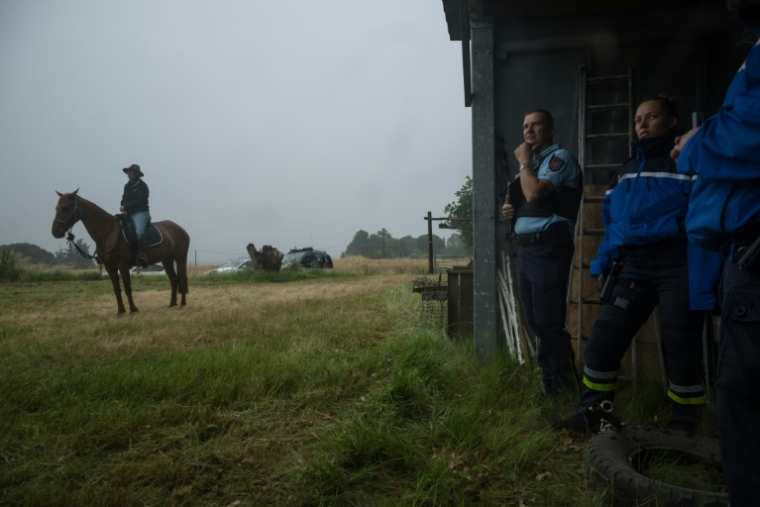 Les gendarmes dans un centre équestre lors des recherches pour retrouver Lyhanna, disparue depuis le 29 mai, le 4 juin 2026 à Fleurance dans le Gers ( AFP / Ed JONES )