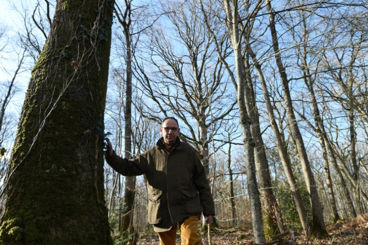 Antoine d'Amécourt, forestier dans la Sarthe et président de Fransylva, qui fédère quelque 70 syndicats départementaux. ( AFP / JEAN-FRANCOIS MONIER )