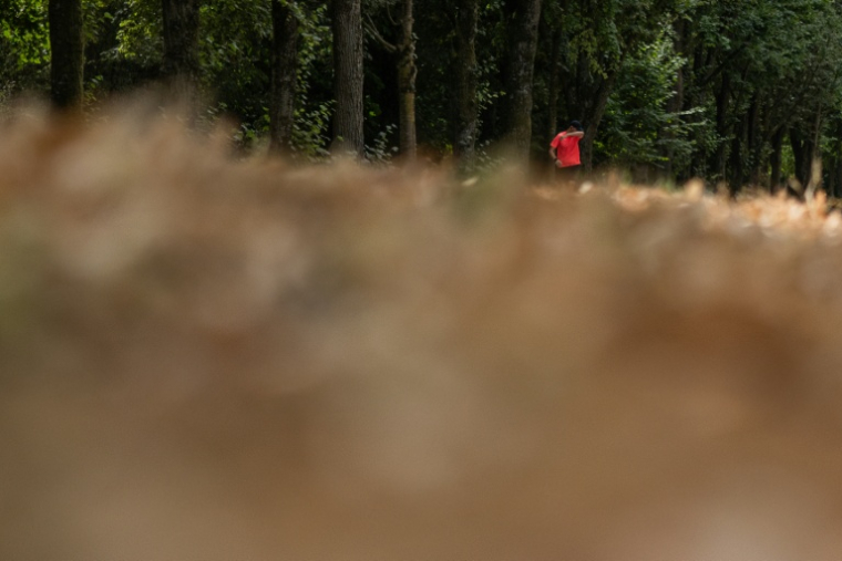 Le 13 juillet 2026, en pleine vague de chaleur, un joggeur passe devant de la végétation desséchée dans le Bois de Vincennes, à l'est de Paris ( AFP / Martin LELIEVRE )
