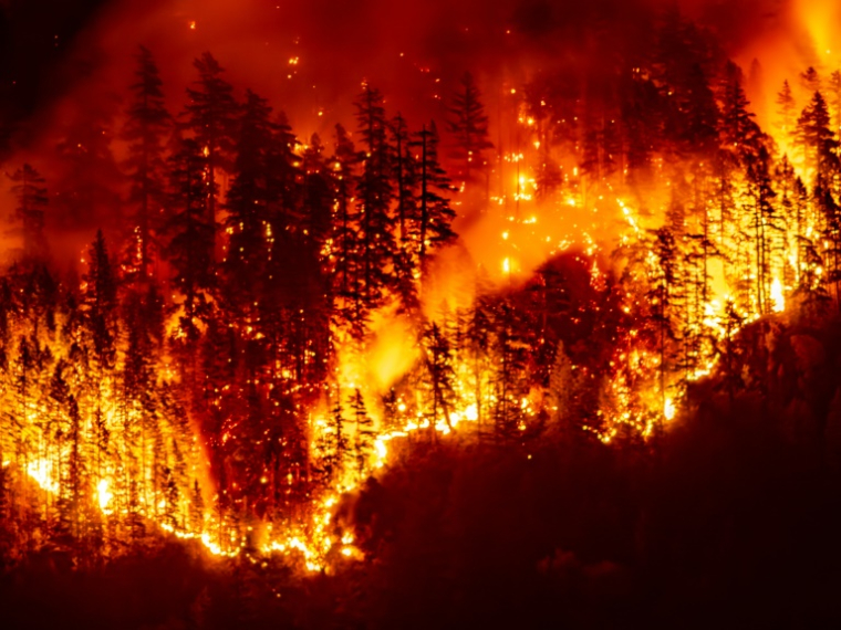 Un feu de forêt sur l'île de Vancouver, en Colombie-Britannique, le 12 août 2025 au Canada ( AFP / Colby Rex O'Neill )