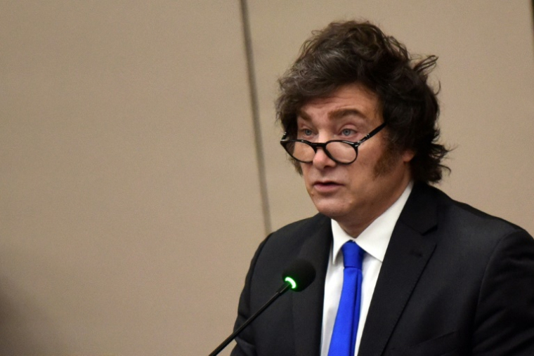 Le président argentin Javier Milei lors d'un discours au Parlement du Paraguay à Asuncion le 17 septembre 2025 ( AFP / DANIEL DUARTE                    )