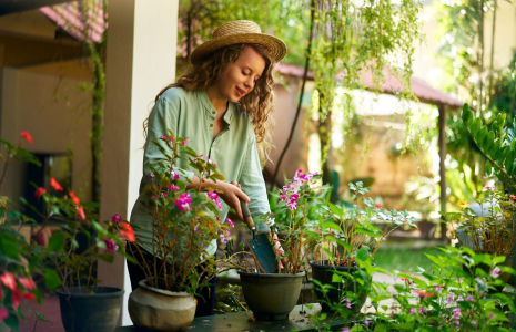 De nombreuses astuces permettent de moins dépenser au jardin, sans lésiner sur sa beauté. ( crédit photo : Shutterstock )
