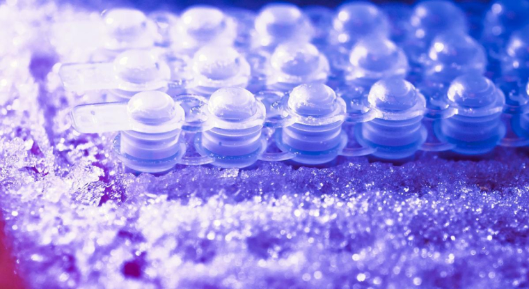 Le titre du spécialiste du diagnostic in vitro cède 18% sur un an. (© DR)