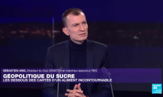 Géopolitique du sucre : l'Europe face au réarmement agricole du monde