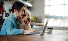Découvrez notre sélection d’accessoires pour célébrer poissons, chats ou chiens si chers à votre cœur. ( crédit photo : Getty Images )