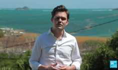 En Martinique, le fléau des sargasses : inquiétudes et calvaire quotidien pour la population