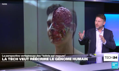 La course aux "bébés sur mesure" a commencé