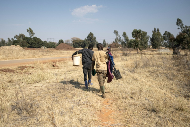 Des "zama-zama" (mineurs illégaux) marchent dans un champ à Carletonville (Afrique du Sud), le 23 juillet 2026 ( AFP / EMMANUEL CROSET )