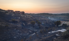 70 hectares de végétation brûlés par un incendie à Narbonne, dans le sud de la France, le 10 septembre 2024. ( AFP / IDRISS BIGOU-GILLES )