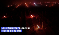 À Chablis, nuit de lutte pour limiter les dégâts du gel sur les vignes