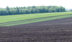 L'Ukraine possède les terres les plus fertiles de la planète grâce à la présence du tchermoziom, très riche en humus, potasse, phosphore et oligo-éléments. (© CC)