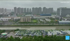 Voitures électriques : l'offensive chinoise