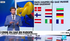 Crise du gaz en Europe : les 27 se tournent aussi vers Israël et l'Égypte