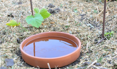 Des équipements simples et peu coûteux permettent de réduire la consommation d’eau au jardin pendant l’été. ( crédit photo : Shutterstock )