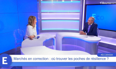Marchés en correction : où trouver les poches de résilience ?