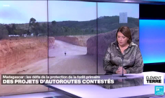 Madagascar: la construction de 2 autoroutes menace la forêt primaire