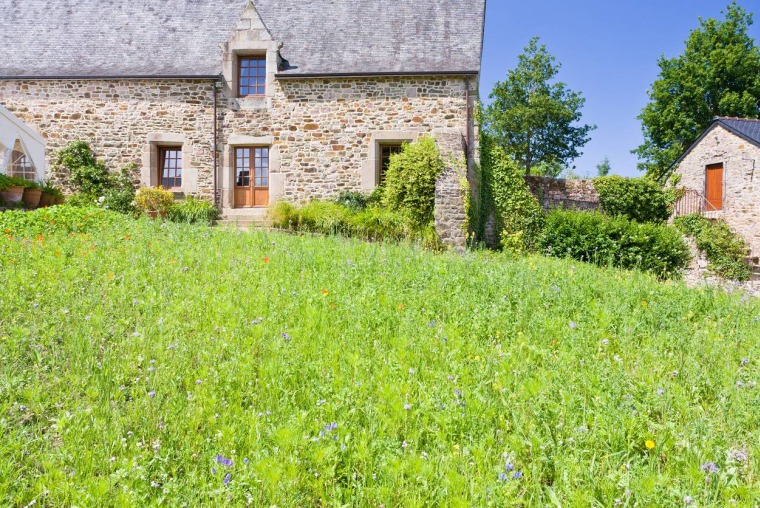 iStock-VvoeVale