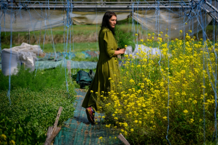 L'agricultrice Kyria Gay pose dans sa ferme lors d'une séance photo à Montjoie-en-Couserans (Ariège), le 14 avril 2026 ( AFP / Lionel BONAVENTURE )