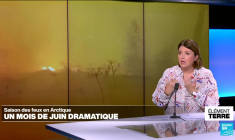 Feux de forêt dans le nord de la Russie: l'Arctique fragile face au réchauffement climatique