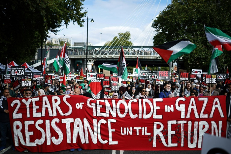 Des manifestants propalestiniens brandissent des pancartes et des drapeaux à Londres, le 11 octobre 2025, à l'occasion de la 32e "Marche nationale pour la Palestine" depuis octobre 2023. ( AFP / HENRY NICHOLLS )