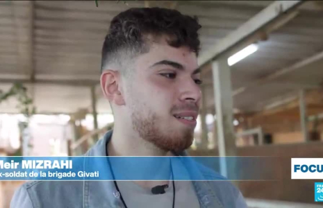Israël : l'équithérapie pour soigner les soldats traumatisés par la guerre