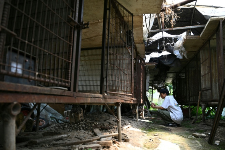 Un militant pour les droits des animaux inspectant des cages vides dans un abattoir canin abandonné à Pyeongtaek, en Corée du Sud, le 11 juin 2026 ( AFP / Jung Yeon-je )
