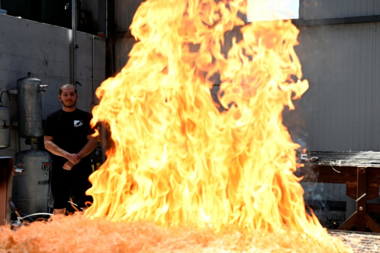Un chercheur de l'Université de Lorraine observe comment la chaleur se propage dans le sol lors d'un incendie, le 20 juin 2025 à Laneuvelotte ( AFP / Jean-Christophe VERHAEGEN )