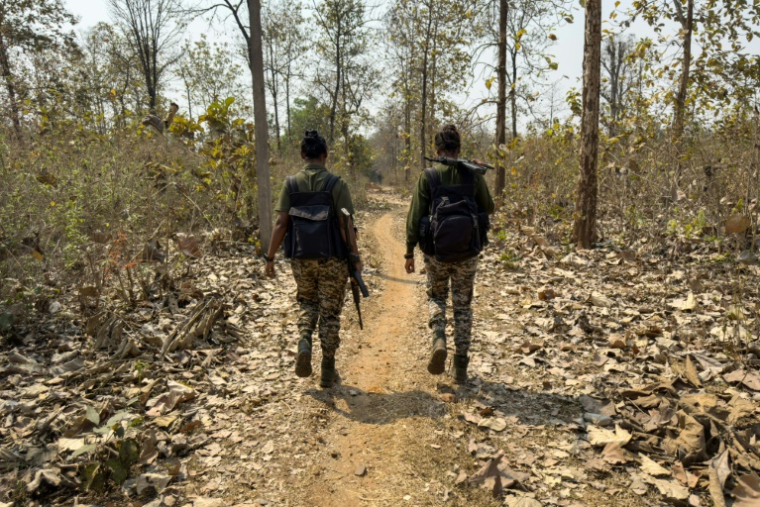 Des paramilitaires, membres des Gardes de la réserve de district (DRG) en patrouille lors d'un entraînement à Dantewada, dans le district de Bastar de l'Etat de Chhattisgahr, le 16 mars 2025 dans le centre de l'Inde ( AFP / Jalees ANDRABI )